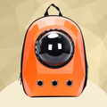 Pet Backpack