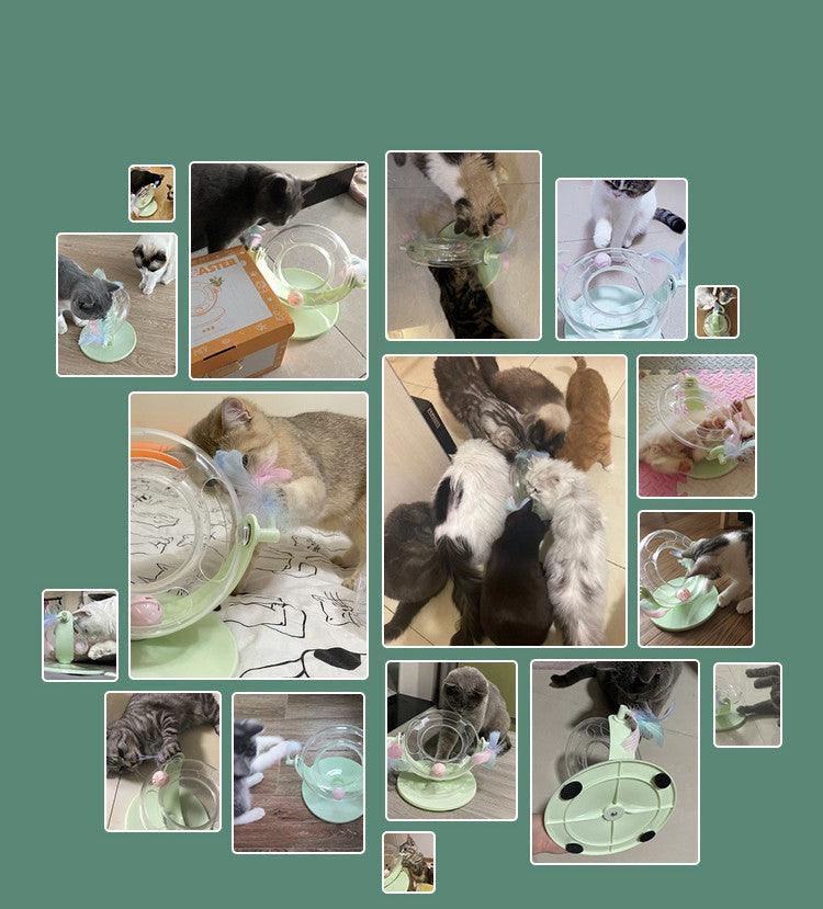 Automatic Cat Toy